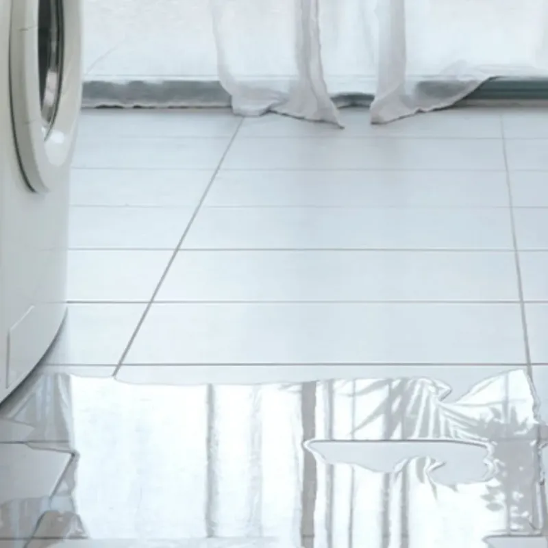 Appliance Leak Cleanup in Ladson, SC
